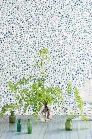 maidenhair